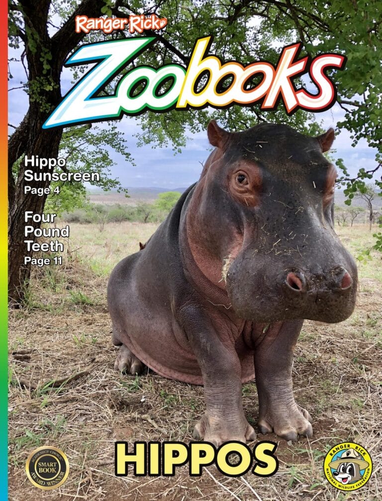 Zoobooks
