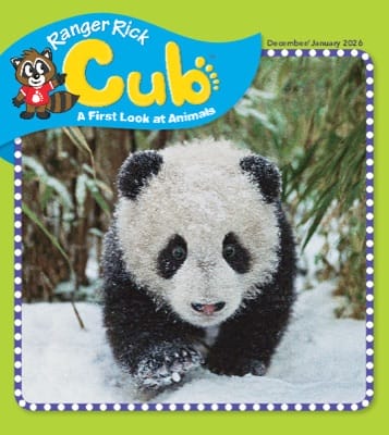 Ranger Rick Cub magazine cover