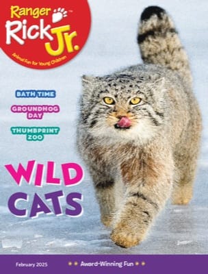 Ranger Rick Jr. magazine cover