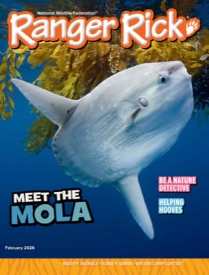 Ranger Rick magazine cover