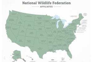 A map of NWF affiliates in the United States