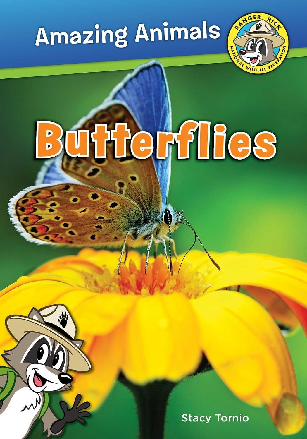 Butterflies book cover