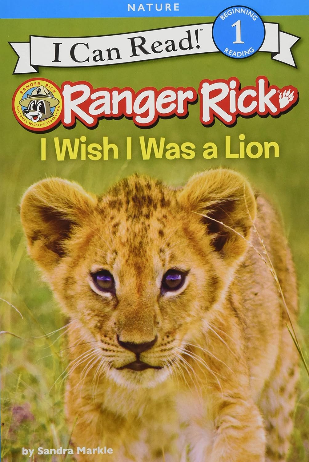 I Wish I Was a Lion book cover showing a young lion cub