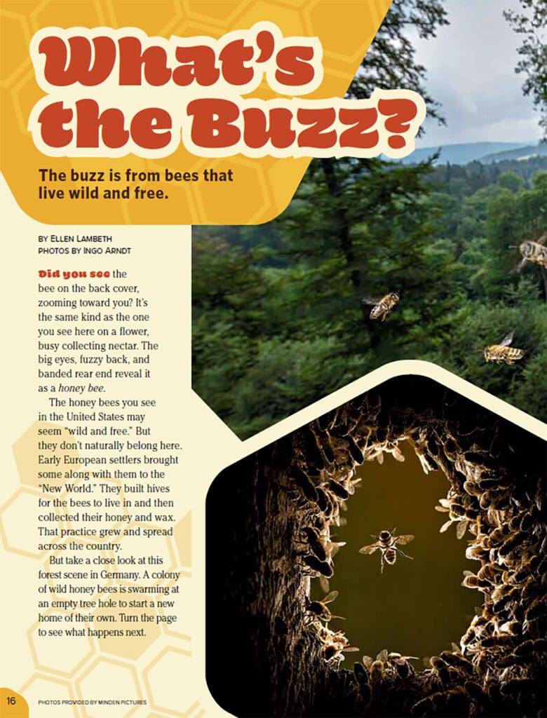 "What's the Buzz" with flying honey bees