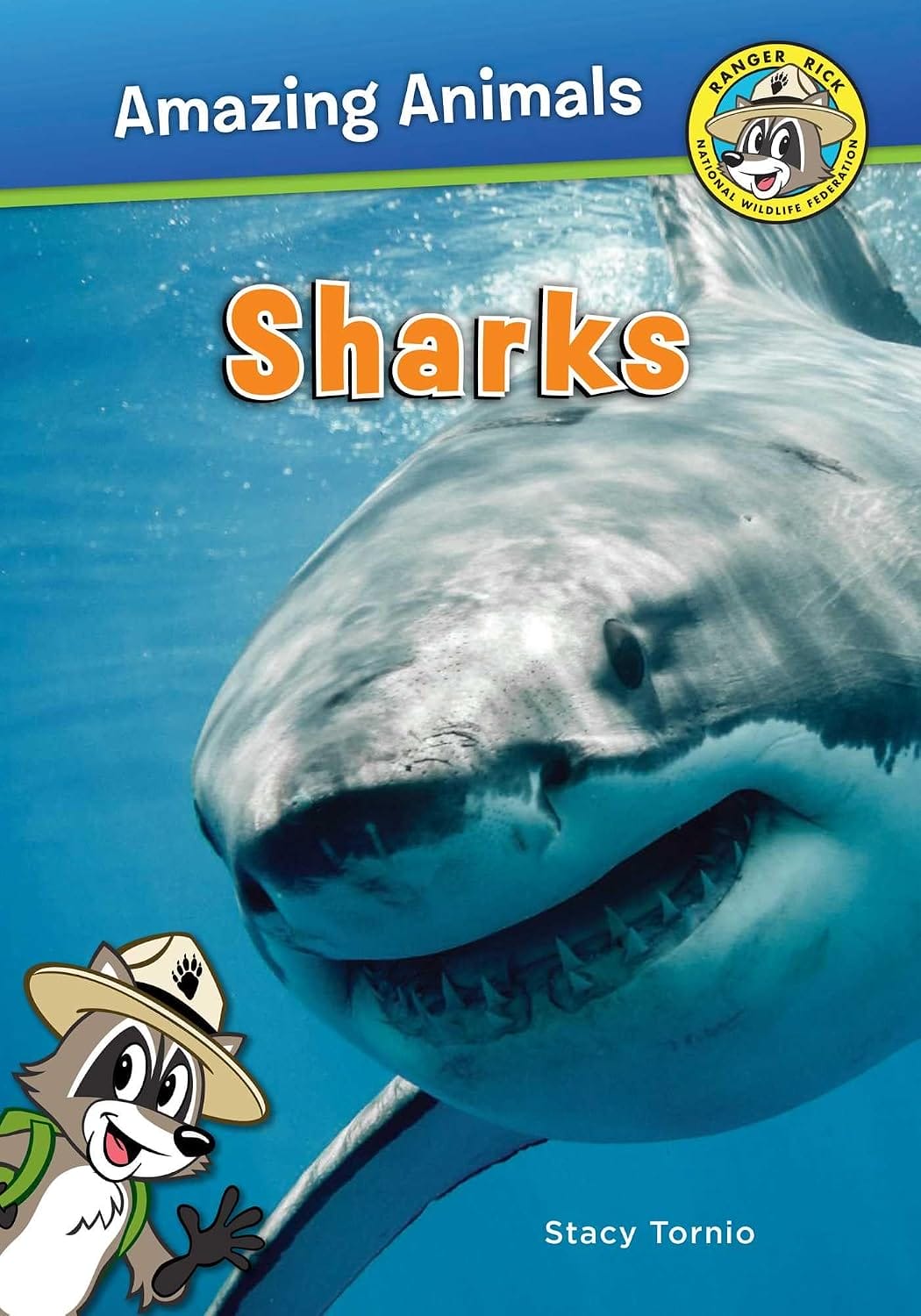 Sharks book cover