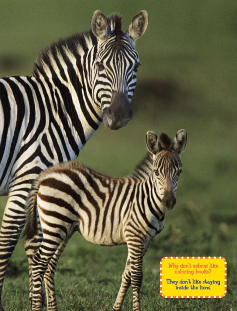 Mother zebra standing beside her young foal in a grassy habitat.