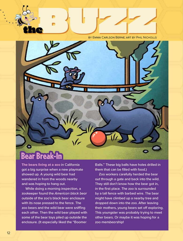 illustration of 3 bears playing with a ball
