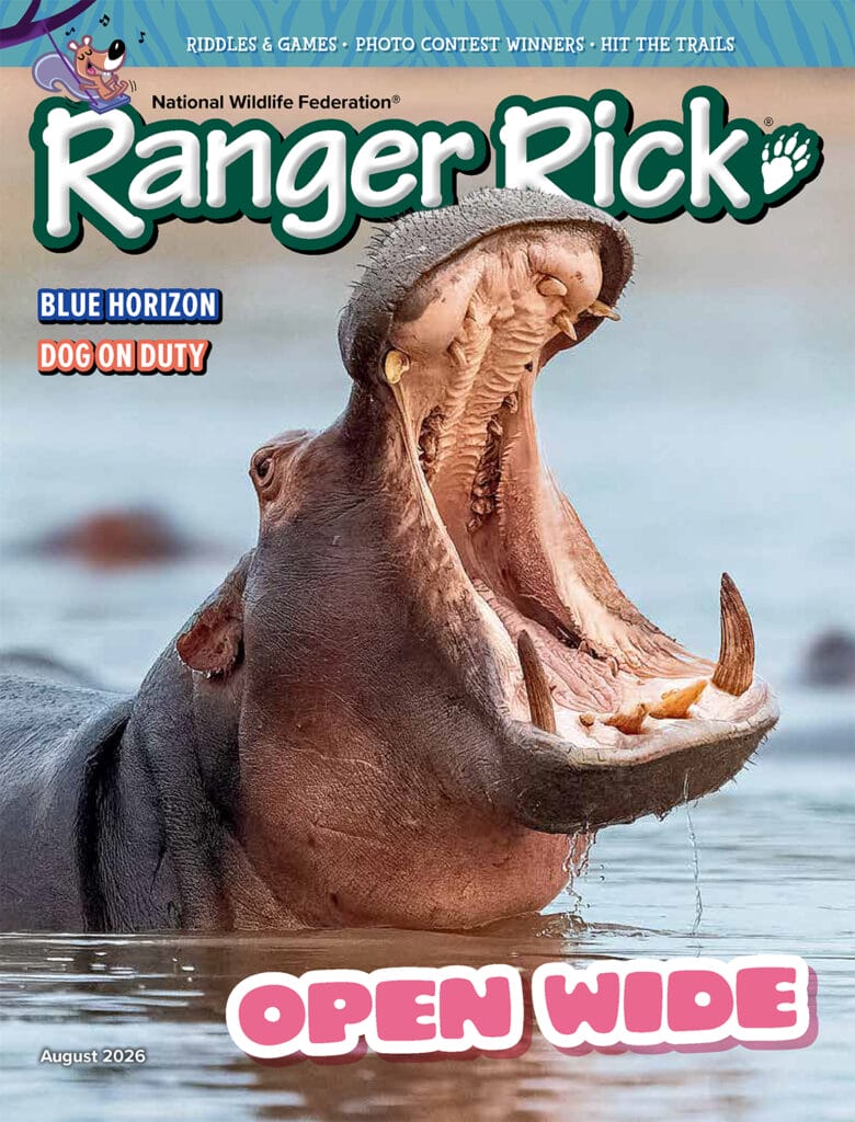 hippo with wide mouth open on the cover of Ranger Rick magazine