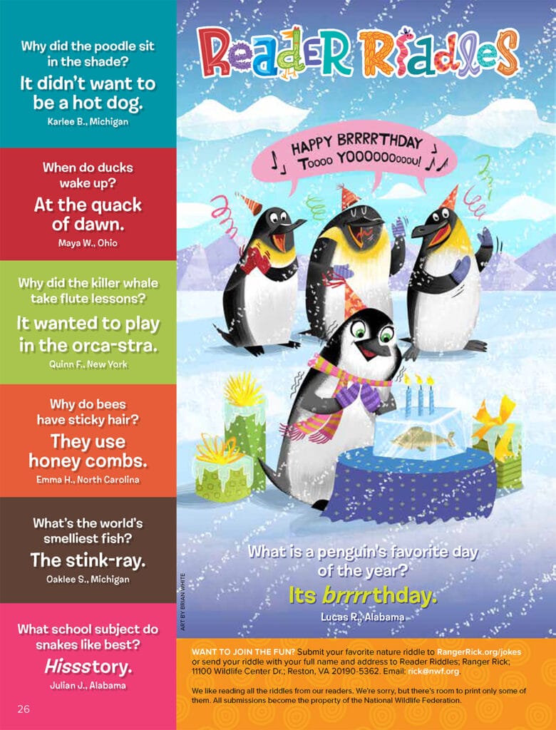 list of riddles with penguins celebrating a birthday
