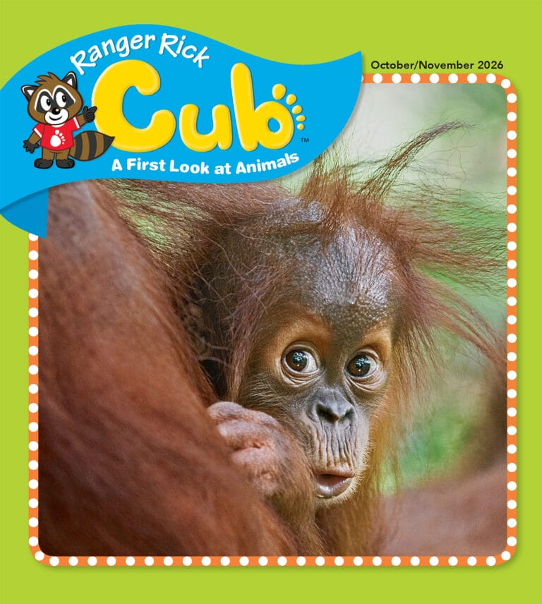 Ranger Rick Cub