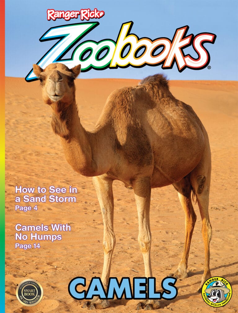 Zoobooks